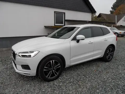 Annonce VOLVO XC60 Diesel 2017 d'occasion 