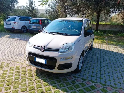 Used FIAT PANDA LPG 2017 Ad 