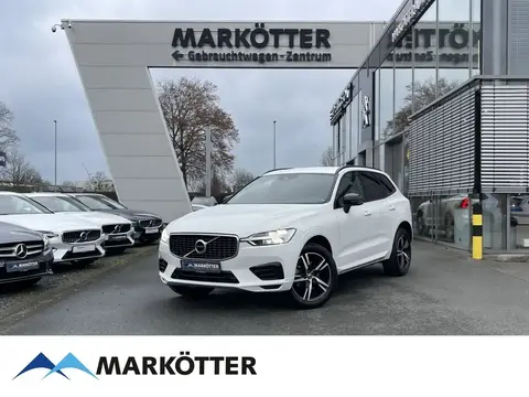 Used VOLVO XC60 Diesel 2019 Ad 