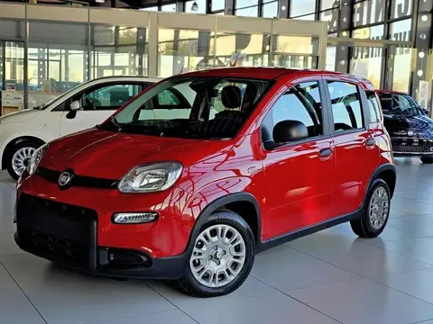 Used FIAT PANDA Petrol 2024 Ad 