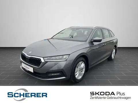 Used SKODA OCTAVIA Petrol 2024 Ad 