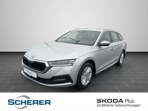 Used SKODA OCTAVIA Petrol 2024 Ad 