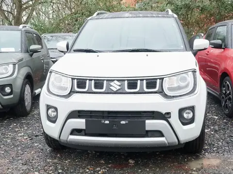 Used SUZUKI IGNIS Petrol 2024 Ad 