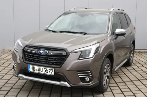 Annonce SUBARU FORESTER Hybride 2023 d'occasion 