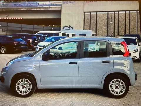 Used FIAT PANDA Petrol 2020 Ad 