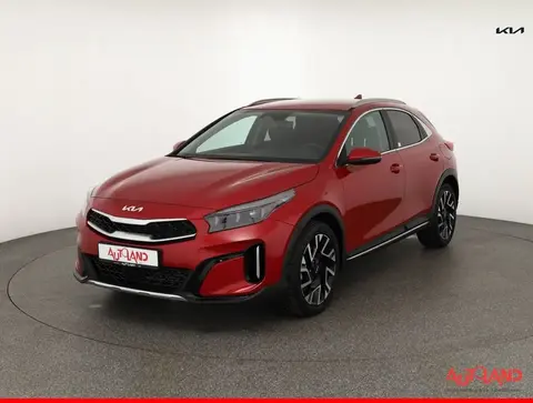 Annonce KIA XCEED Essence 2024 d'occasion 