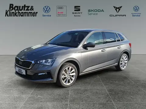 Used SKODA SCALA Petrol 2023 Ad 