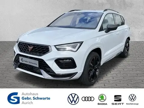 Annonce CUPRA ATECA Essence 2024 d'occasion 