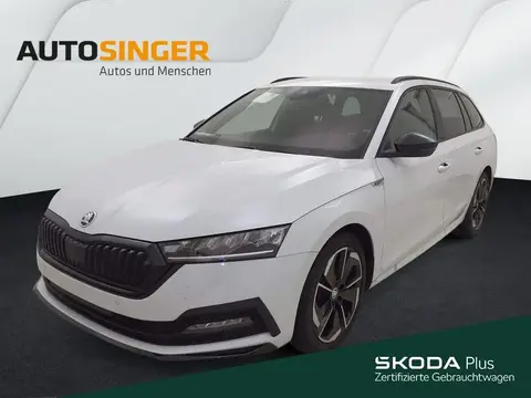 Annonce SKODA OCTAVIA Essence 2024 d'occasion 