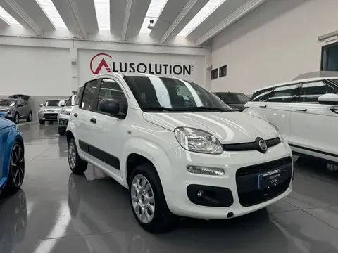 Used FIAT PANDA Petrol 2019 Ad 