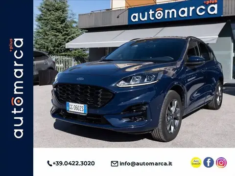 Annonce FORD KUGA Hybride 2021 d'occasion 