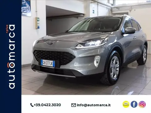 Used FORD KUGA Diesel 2022 Ad 