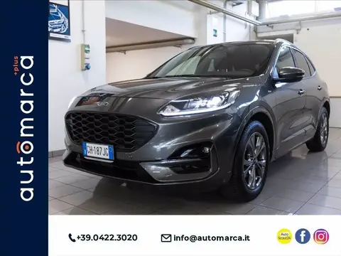 Used FORD KUGA Petrol 2022 Ad 