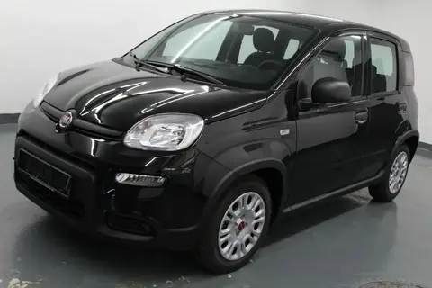 Annonce FIAT PANDA Essence 2023 d'occasion 