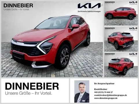 Annonce KIA SPORTAGE Essence 2023 d'occasion 