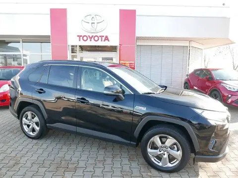 Used TOYOTA RAV4 Hybrid 2021 Ad 