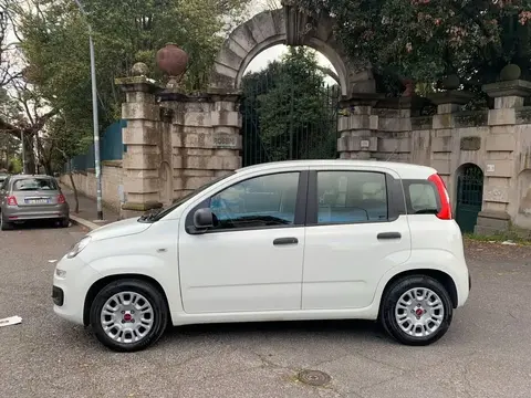 Used FIAT PANDA Hybrid 2022 Ad 