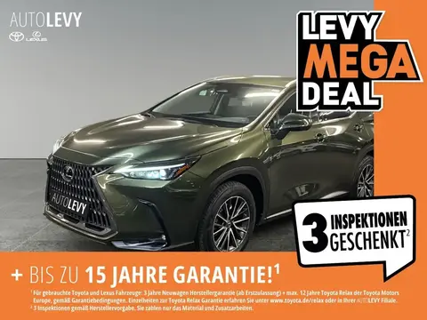 Annonce LEXUS NX Hybride 2022 d'occasion 