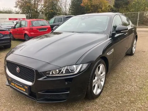 Used JAGUAR XF Diesel 2015 Ad 