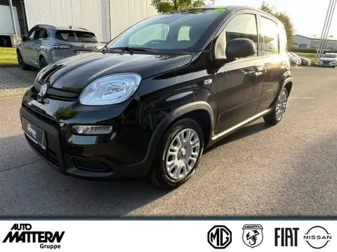 Annonce FIAT PANDA Essence 2024 d'occasion 