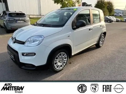 Annonce FIAT PANDA Essence 2024 d'occasion 