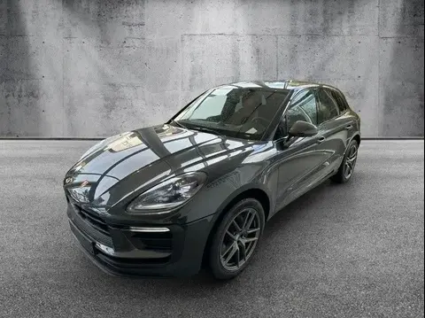 Used PORSCHE MACAN Petrol 2024 Ad 