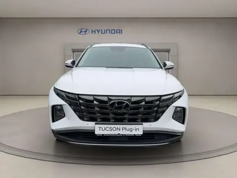 Used HYUNDAI TUCSON Hybrid 2021 Ad 