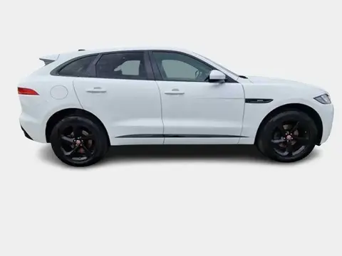 Used JAGUAR F-PACE Diesel 2020 Ad 