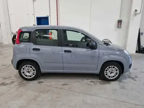 Annonce FIAT PANDA Essence 2020 d'occasion 