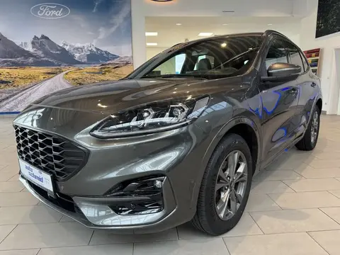 Annonce FORD KUGA Hybride 2021 d'occasion 