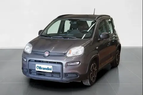 Annonce FIAT PANDA Hybride 2022 d'occasion 