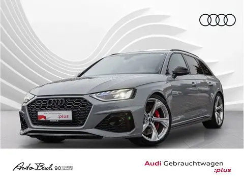 Used AUDI RS4 Petrol 2020 Ad 