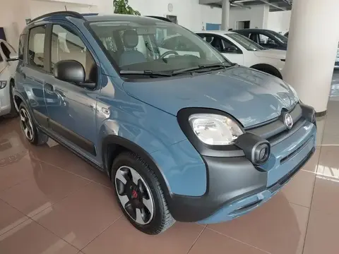 Annonce FIAT PANDA Hybride 2021 d'occasion 