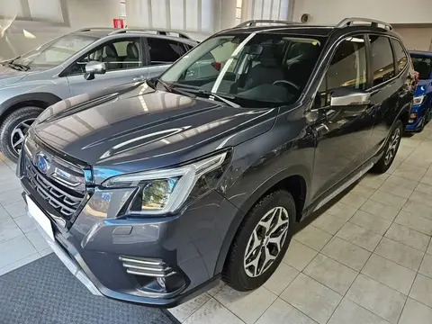 Annonce SUBARU FORESTER Hybride 2024 d'occasion 