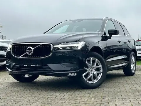 Annonce VOLVO XC60 Diesel 2019 d'occasion 