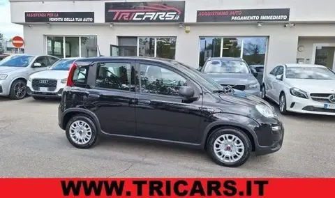 Used FIAT PANDA Hybrid 2023 Ad 