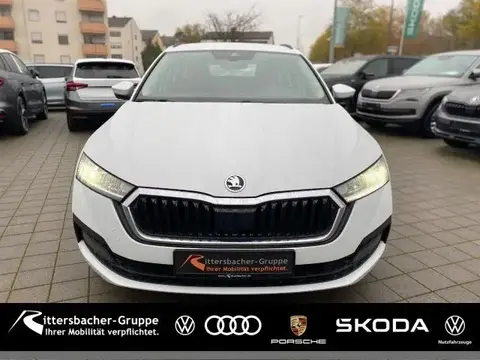 Annonce SKODA OCTAVIA Hybride 2021 d'occasion 