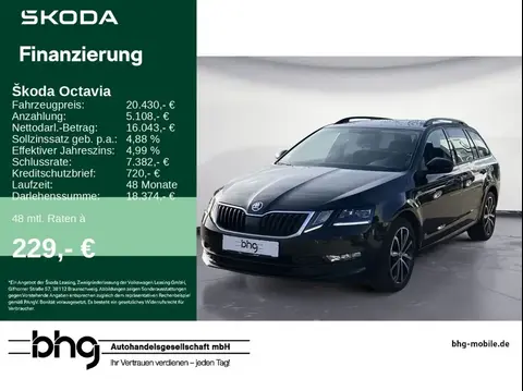 Used SKODA OCTAVIA Diesel 2020 Ad 