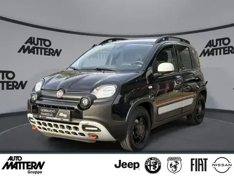 Used FIAT PANDA Petrol 2023 Ad 