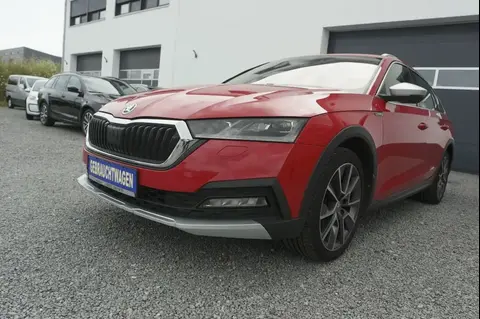 Annonce SKODA OCTAVIA Diesel 2021 d'occasion 