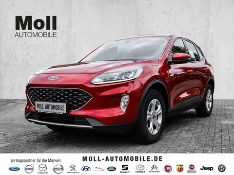 Annonce FORD KUGA Hybride 2022 d'occasion 