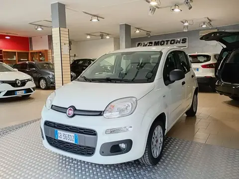 Used FIAT PANDA Petrol 2020 Ad 