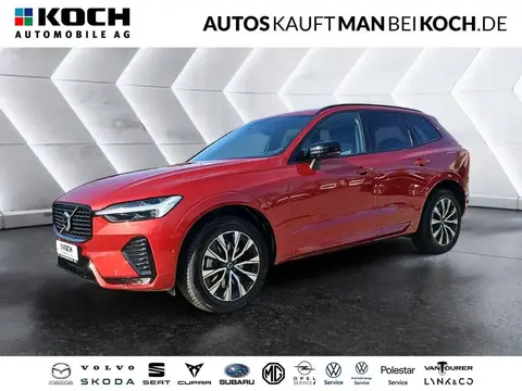 Annonce VOLVO XC60 Diesel 2023 d'occasion 