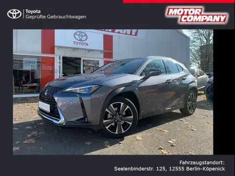 Used LEXUS UX Hybrid 2020 Ad 