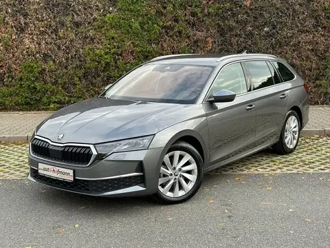 Annonce SKODA OCTAVIA Diesel 2024 d'occasion 