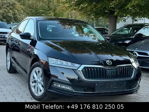 Annonce SKODA OCTAVIA Essence 2022 d'occasion 