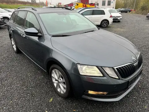 Annonce SKODA OCTAVIA Diesel 2020 d'occasion 