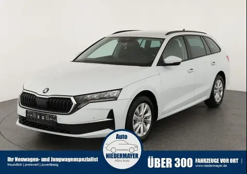 Used SKODA OCTAVIA Petrol 2024 Ad 