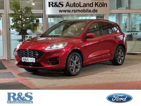 Annonce FORD KUGA Hybride 2021 d'occasion 