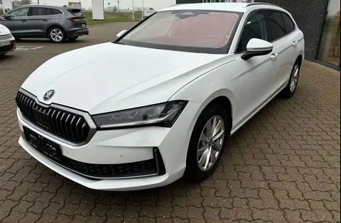 Annonce SKODA SUPERB Diesel 2024 d'occasion 